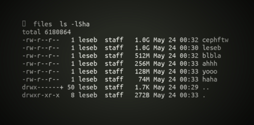 Deploy a Ceph MDS server