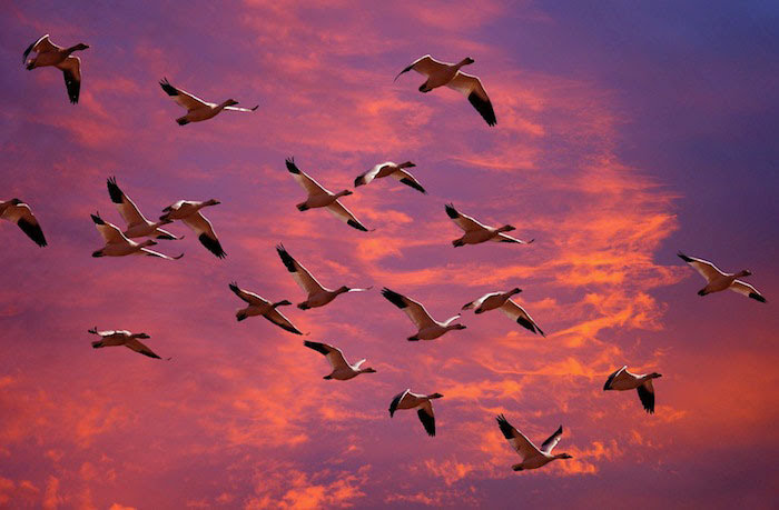 Block migration